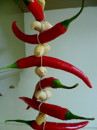 Red pepper and peanut garland